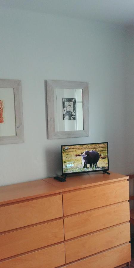 Appartement F1 - Kunst Und Design Dresde Extérieur photo